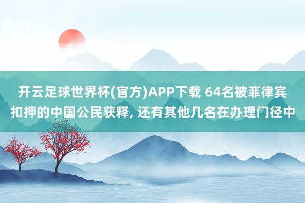 开云足球世界杯(官方)APP下载 64名被菲律宾扣押的中国公民获释, 还有其他几名在办理门径中