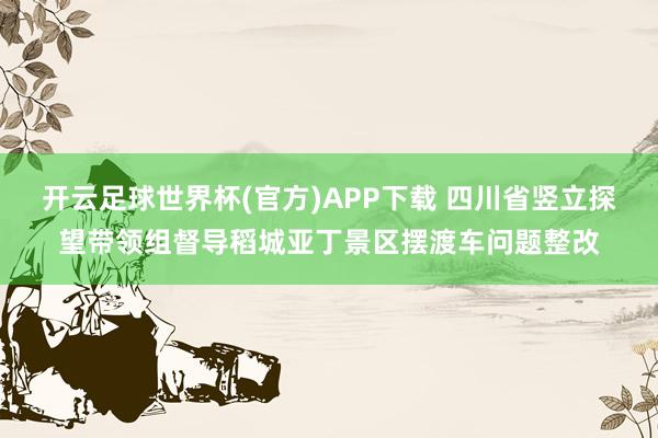 开云足球世界杯(官方)APP下载 四川省竖立探望带领组督导稻城亚丁景区摆渡车问题整改
