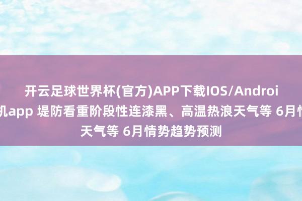 开云足球世界杯(官方)APP下载IOS/Android通用版/手机app 堤防看重阶段性连漆黑、高温热浪天气等 6月情势趋势预测
