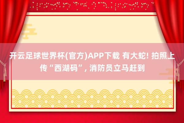 开云足球世界杯(官方)APP下载 有大蛇! 拍照上传“西湖码”, 消防员立马赶到