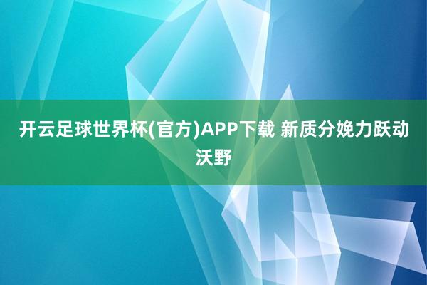 开云足球世界杯(官方)APP下载 新质分娩力跃动沃野
