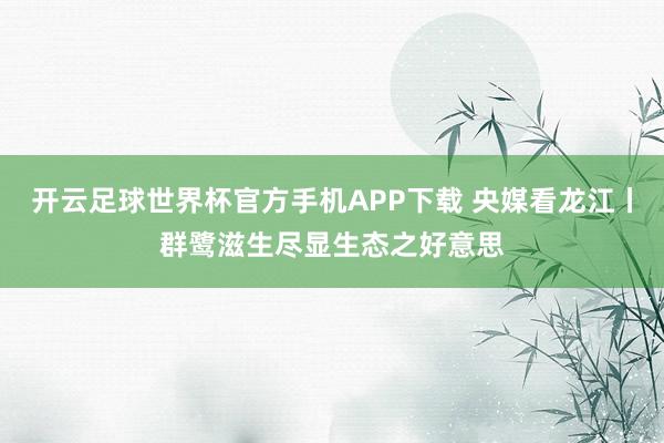 开云足球世界杯官方手机APP下载 央媒看龙江丨群鹭滋生尽显生态之好意思