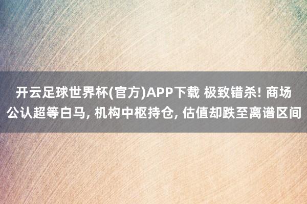 开云足球世界杯(官方)APP下载 极致错杀! 商场公认超等白马, 机构中枢持仓, 估值却跌至离谱区间