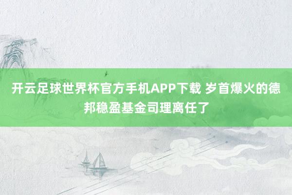 开云足球世界杯官方手机APP下载 岁首爆火的德邦稳盈基金司理离任了