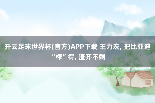 开云足球世界杯(官方)APP下载 王力宏， 把比亚迪“榨”得， 渣齐不剩