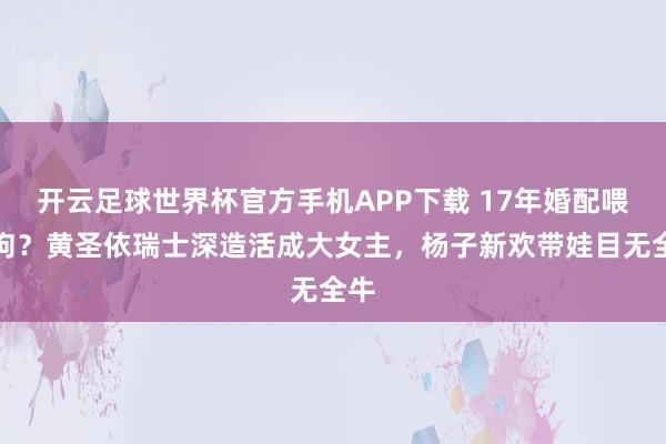 开云足球世界杯官方手机APP下载 17年婚配喂了狗？黄圣依瑞士深造活成大女主，杨子新欢带娃目无全牛
