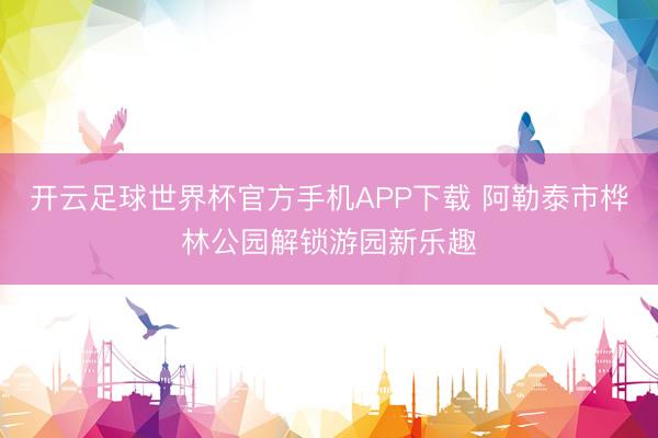 开云足球世界杯官方手机APP下载 阿勒泰市桦林公园解锁游园新乐趣