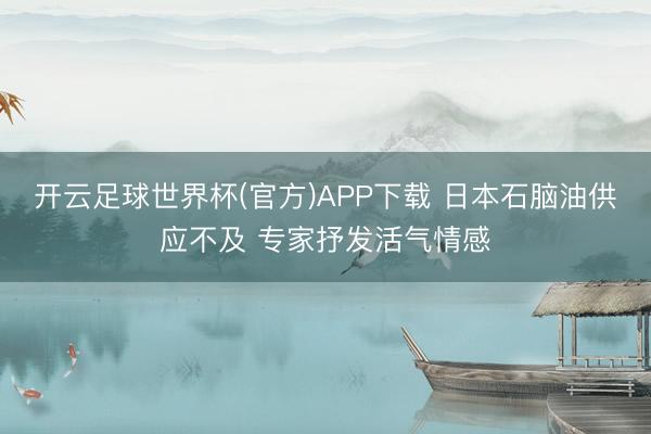 开云足球世界杯(官方)APP下载 日本石脑油供应不及 专家抒发活气情感