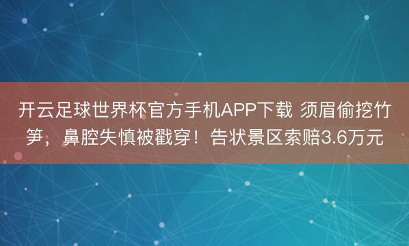 开云足球世界杯官方手机APP下载 须眉偷挖竹笋，鼻腔失慎被戳穿！告状景区索赔3.6万元