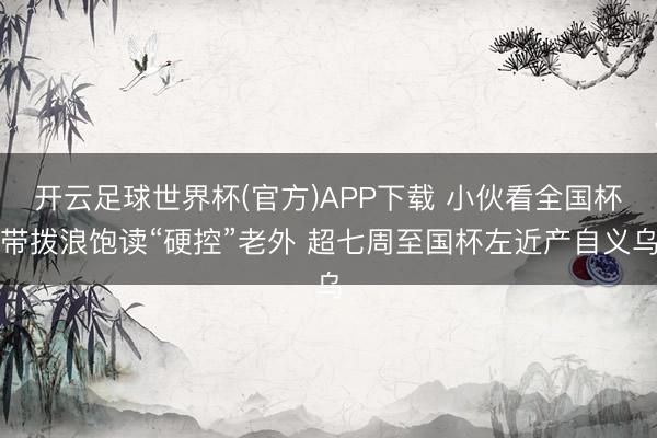 开云足球世界杯(官方)APP下载 小伙看全国杯带拨浪饱读“硬控”老外 超七周至国杯左近产自义乌